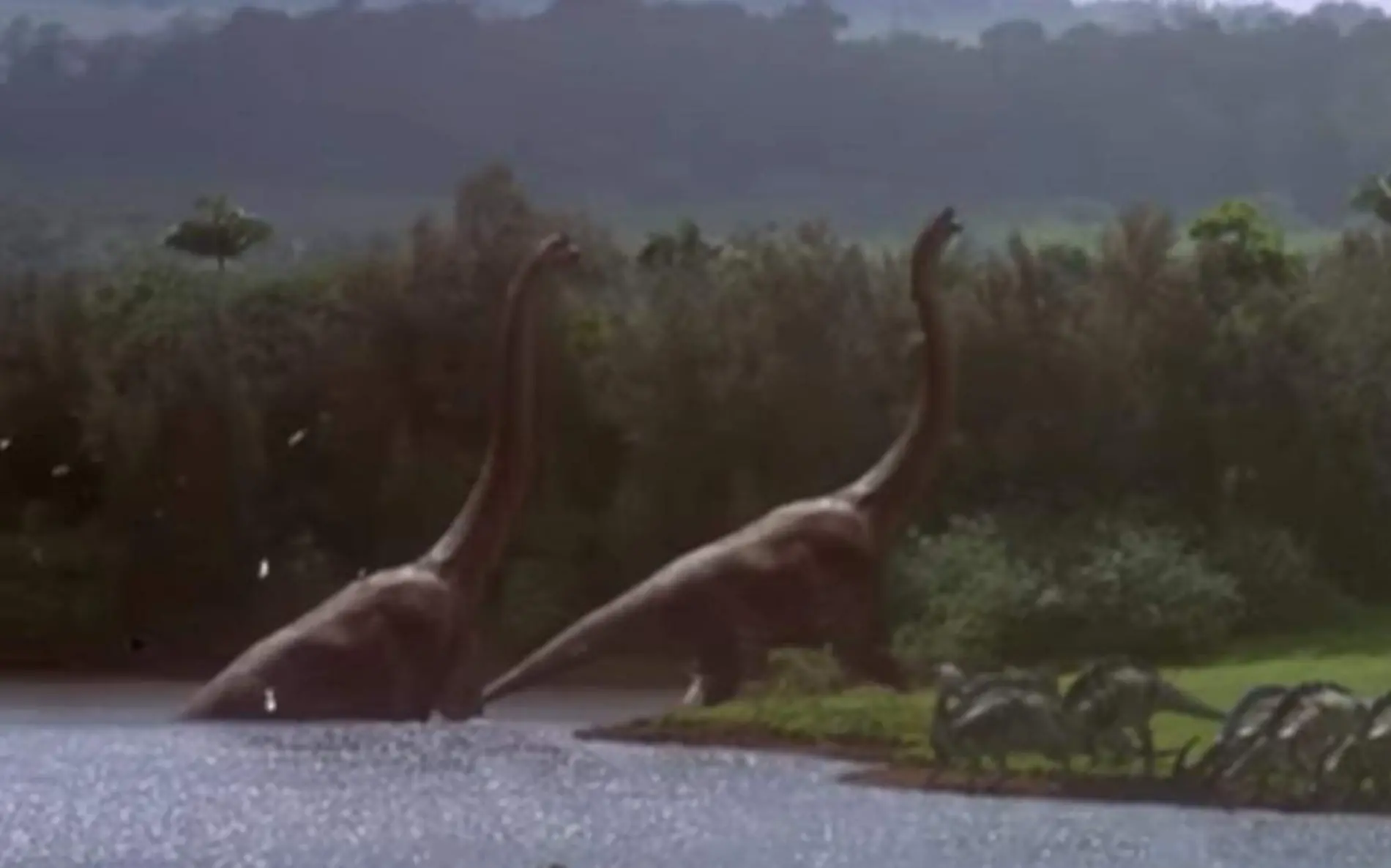 Tiranosaurio africano el inusual fósil hallado en Egipto que lleva décadas en el olvido  Jurassic World